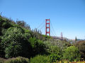 Golden Gate flowers