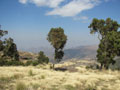 Simien Day 2(4)
