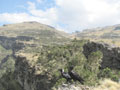 Simien Day 2(10)